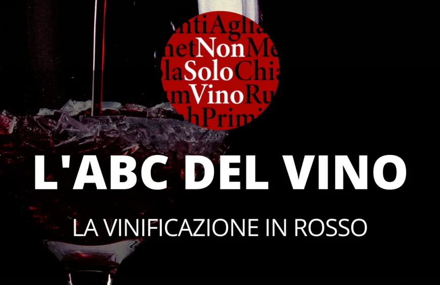 L'abc del vino vinificazione in rosso